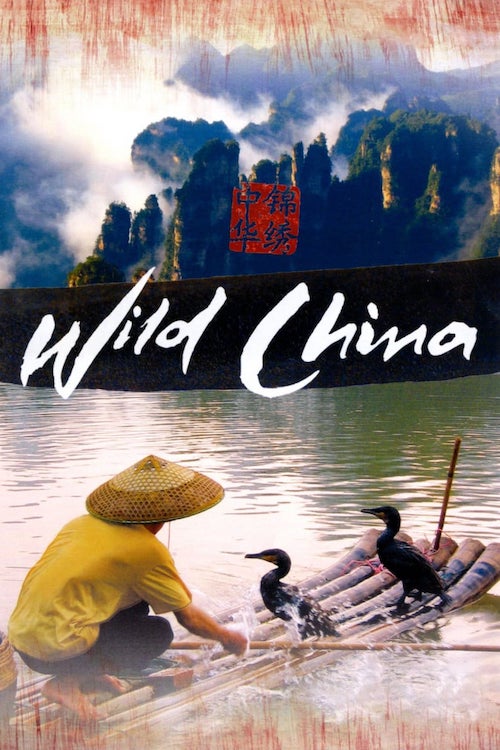 Постер до Невідомий Китай