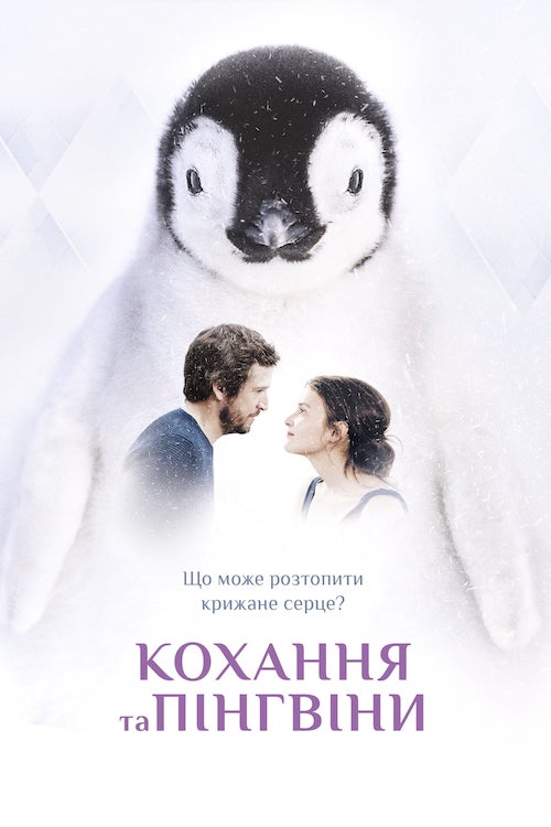 Постер до Кохання та пінгвіни