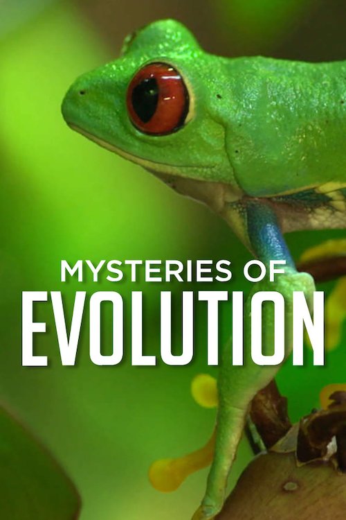 Постер до Таємниці еволюції