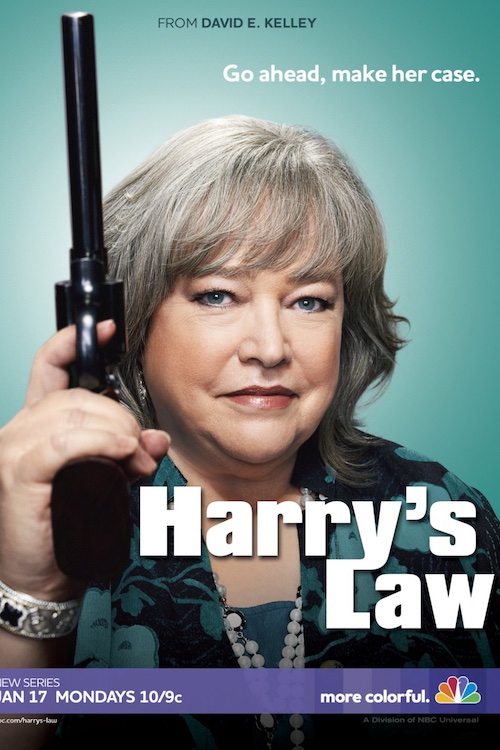 Постер до Закон Херрі