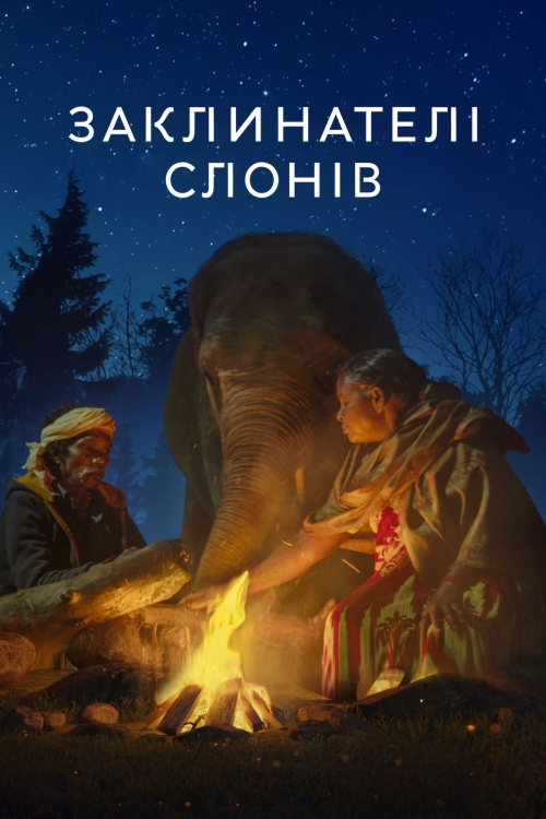 Постер до Заклинателі слонів