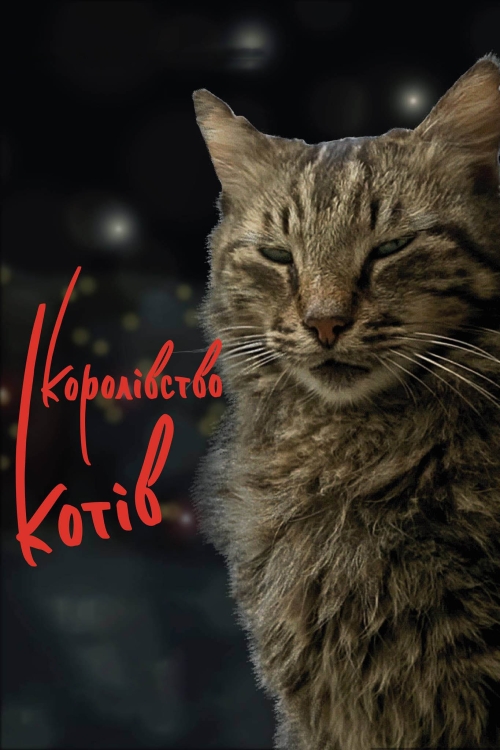 Постер до Королівство котів
