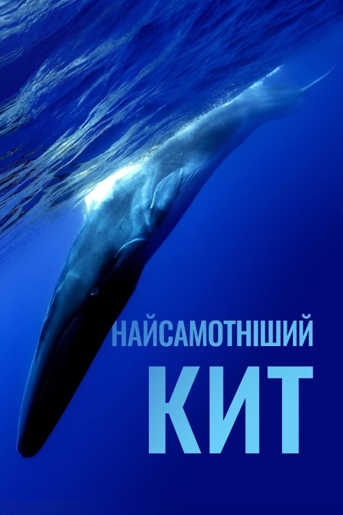 Постер до Найсамотніший кит